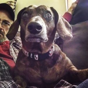 Meet your Posher, Terry